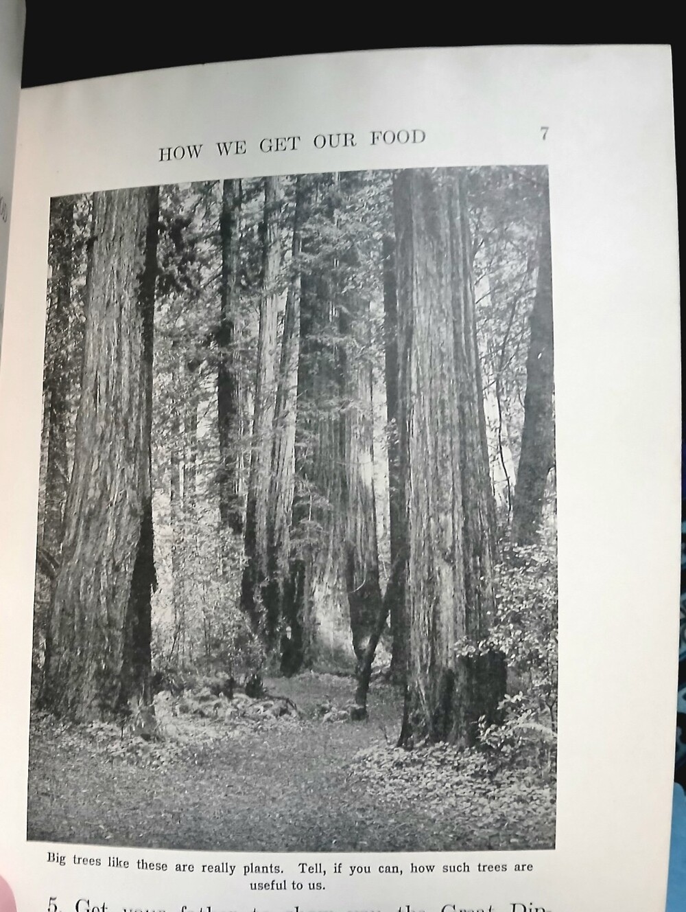 1924 First Lessons In Geography Book - Picture 5 of 6